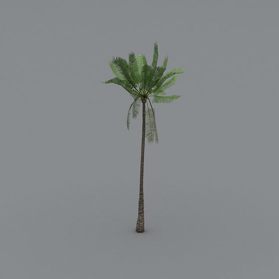 Low-Poly Palm Tree 3D Model