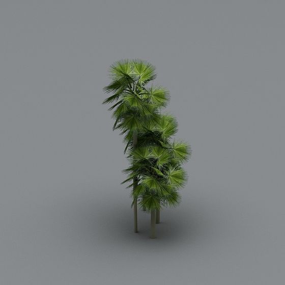 Lively Palm Tree 3D Model for Modern Design
