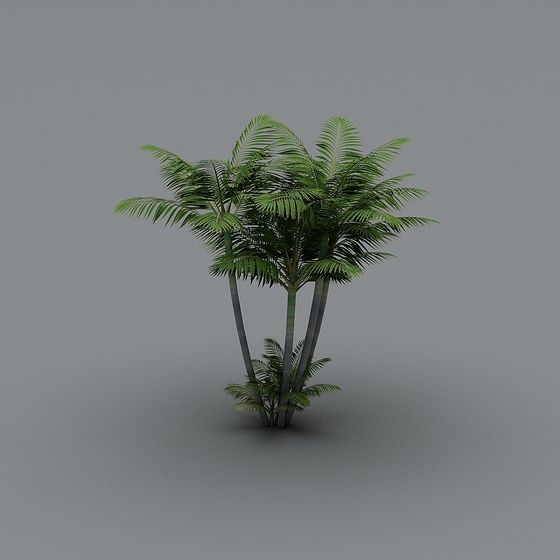 Vibrant Palm Tree Jungle 3D model