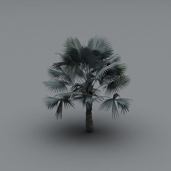 Low Poly Palm Tree 3D Model