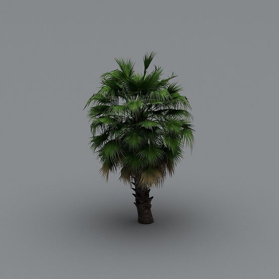 Realistic Palm Tree 3D model for Creative Projects