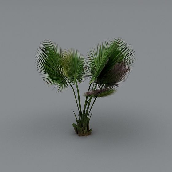 Vibrant Palm Tree 3D Model for Tropical Designs