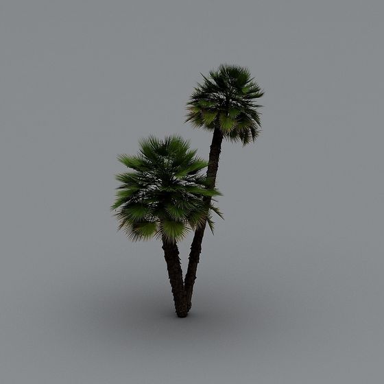 Realistic Palm Trees 3D Model