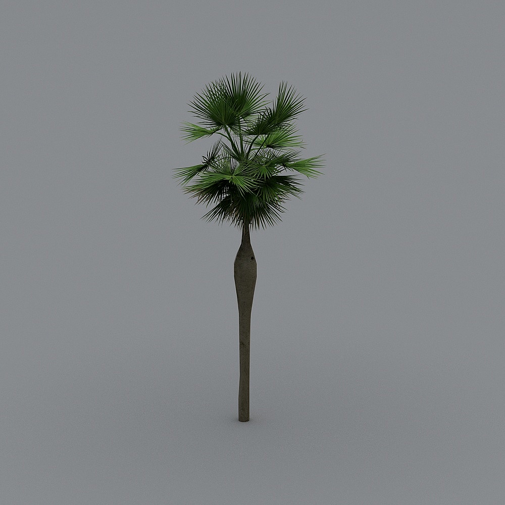 Palm tree-07