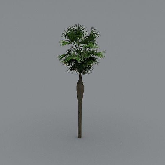 Realistic Low-Polygon Palm Tree 3D model