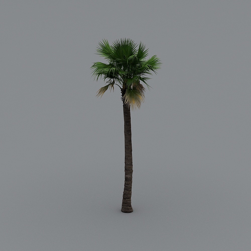 Vibrant Low-Poly Palm Tree 3D Model