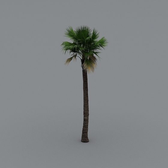 Vibrant Low-Poly Palm Tree 3D Model