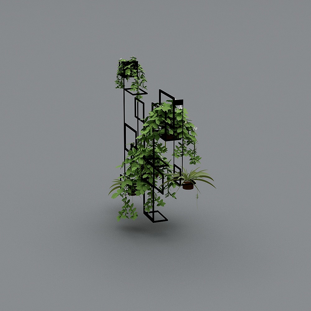 plants+rack