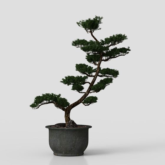 Realistic Bonsai Tree 3D model for Creative Projects