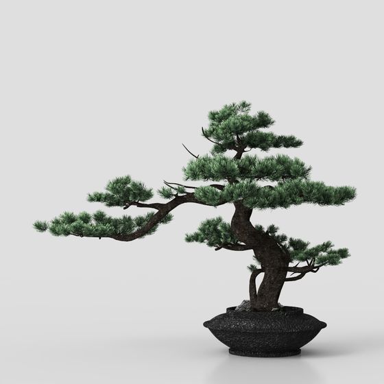 Cây cảnh trồng trong chậu phong cách Trung Quốc mới