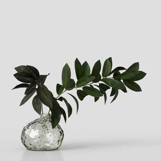 植物の植え付け