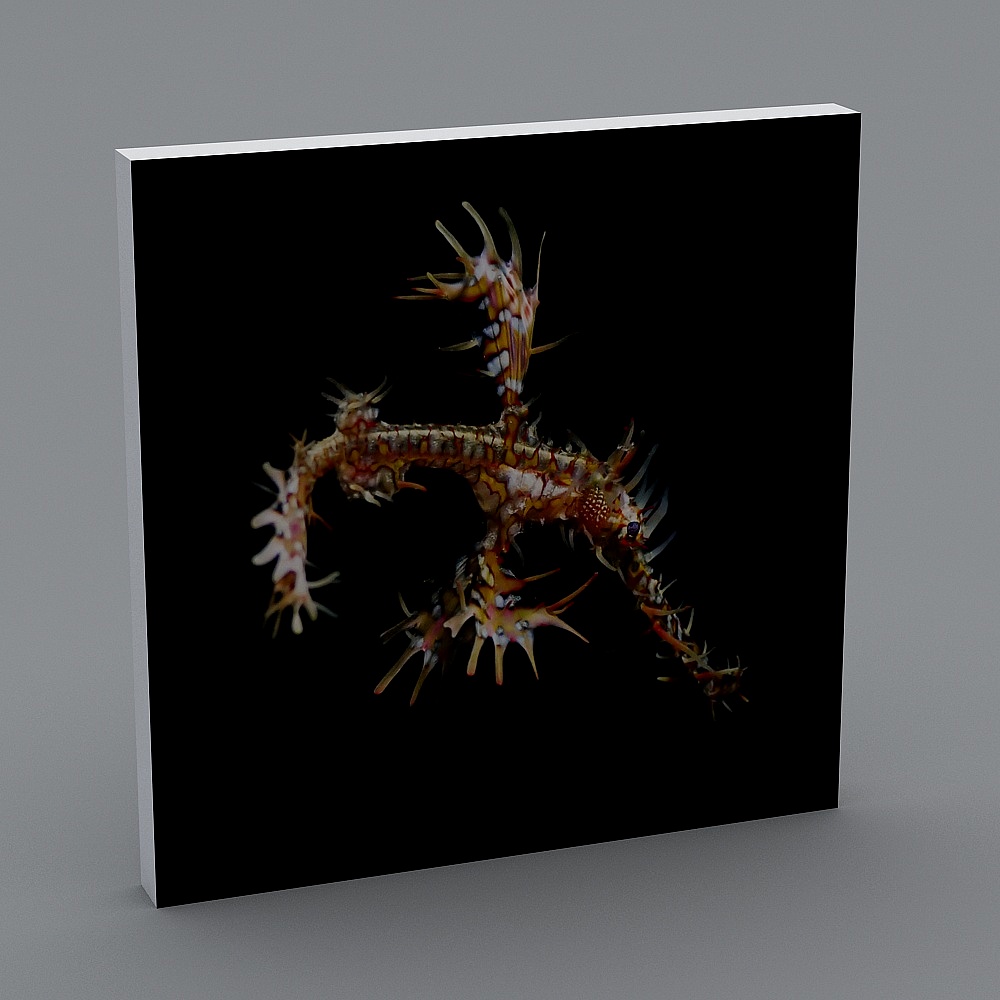 Stunning Sea Dragon 3D Model for Creative Projects