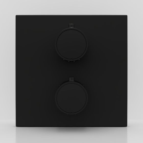 Quadratische Thermostat-Duschpaneel-Mattes Schwarz