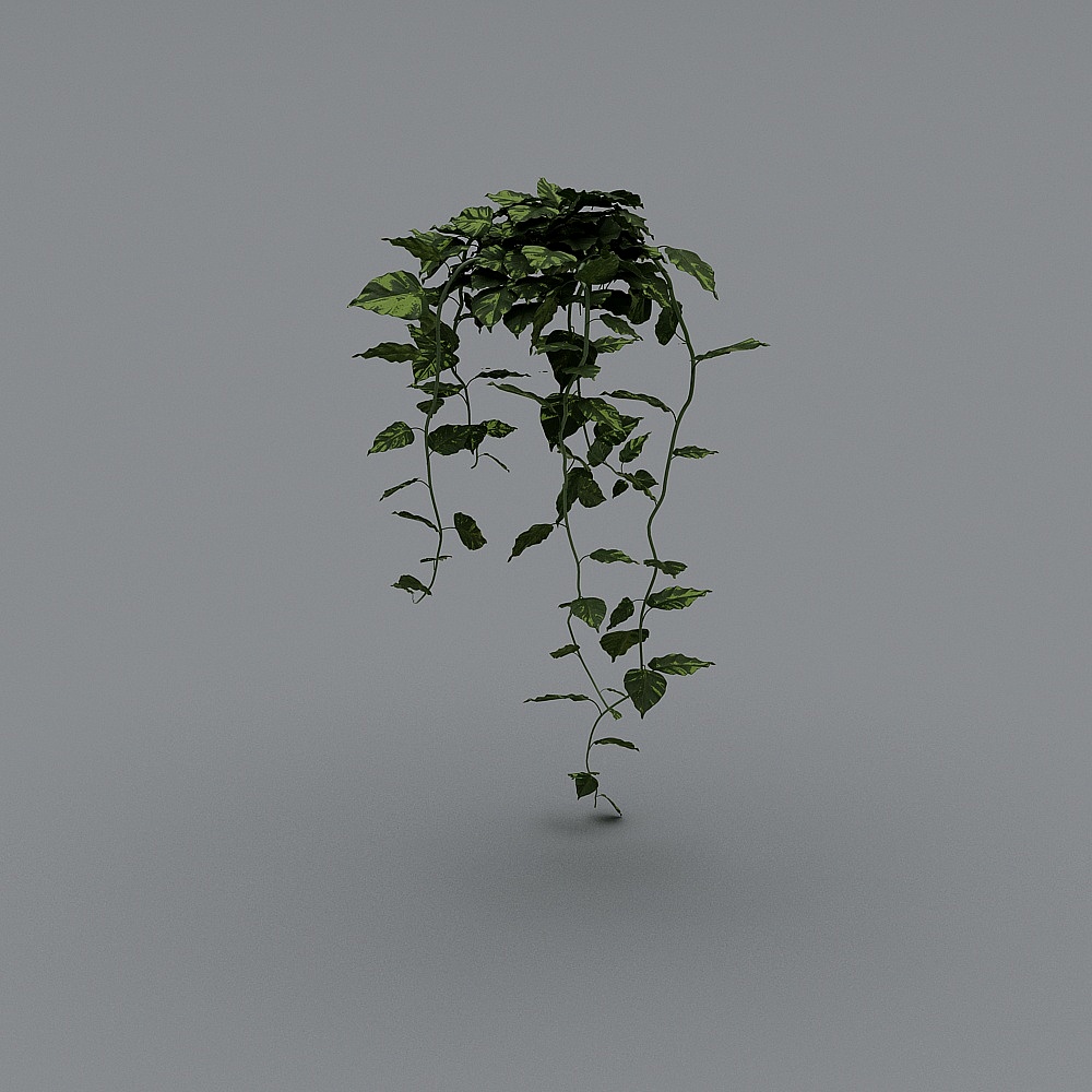 Lifelike Ivy 3D Model for Creative Projects