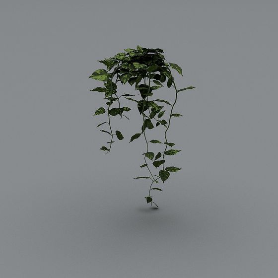 Lifelike Ivy 3D Model for Creative Projects