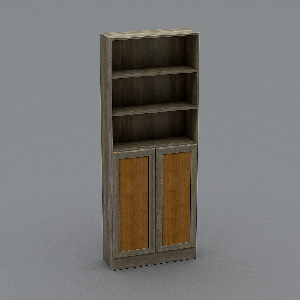 BOOKCASE 1