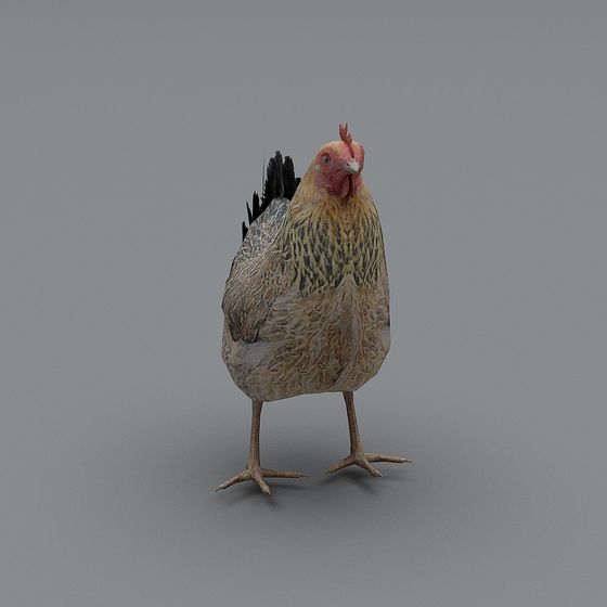 Realistic Low-Poly Rooster 3D Model