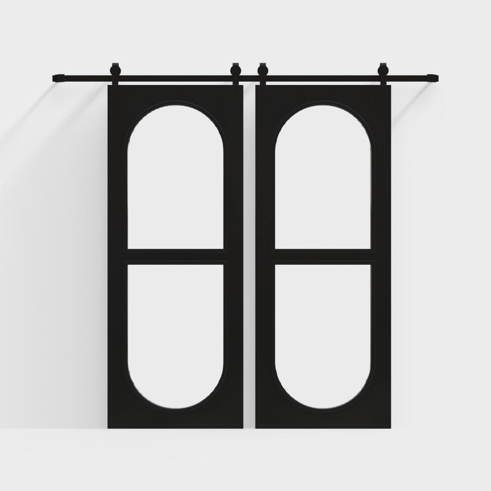 Modern Glass Barn Door