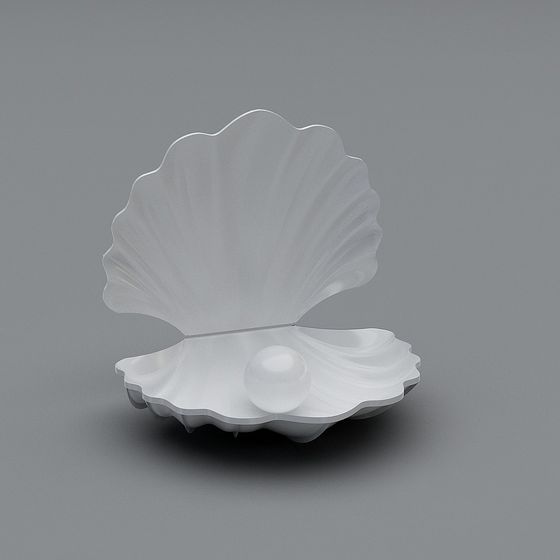 Elegant Shell 3D Model Design