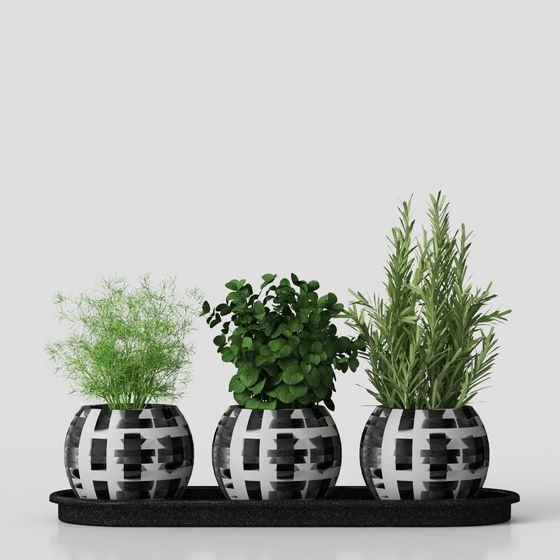 エルバス+アロマティカス