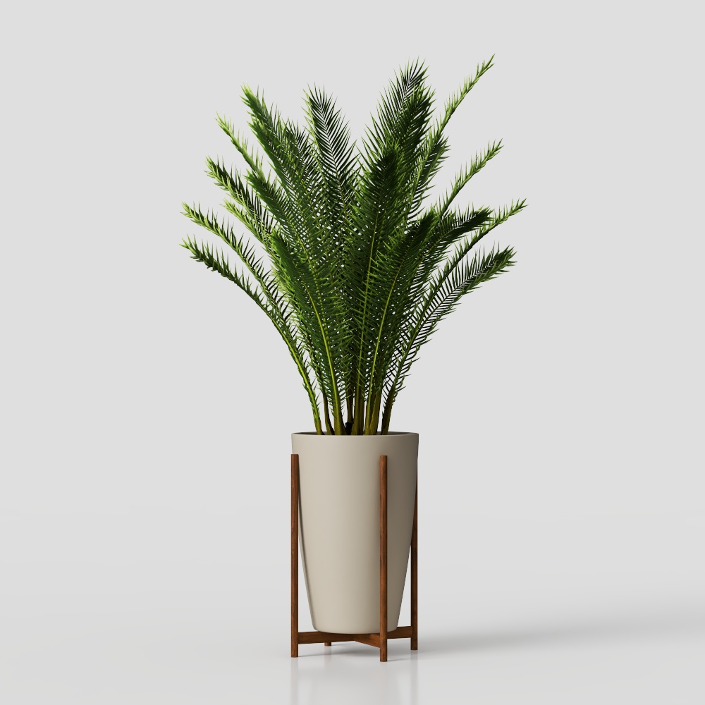 зеленые растения