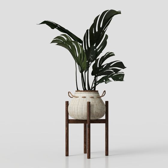 Natural Green Plants 3D Model in Earth Color
