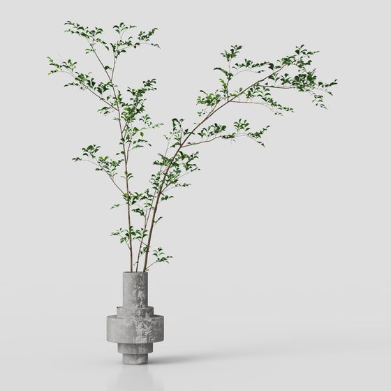 Urban Green Plant 3D model for Designers