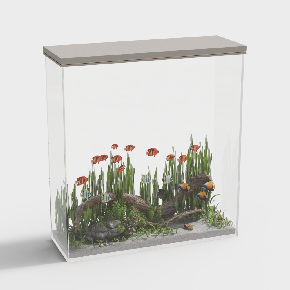 aquarium