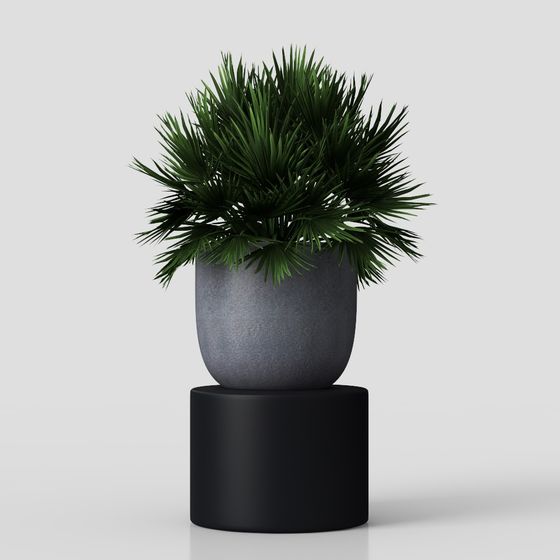 Chic Low-Poly Plant Pot 3D Model for Interiors