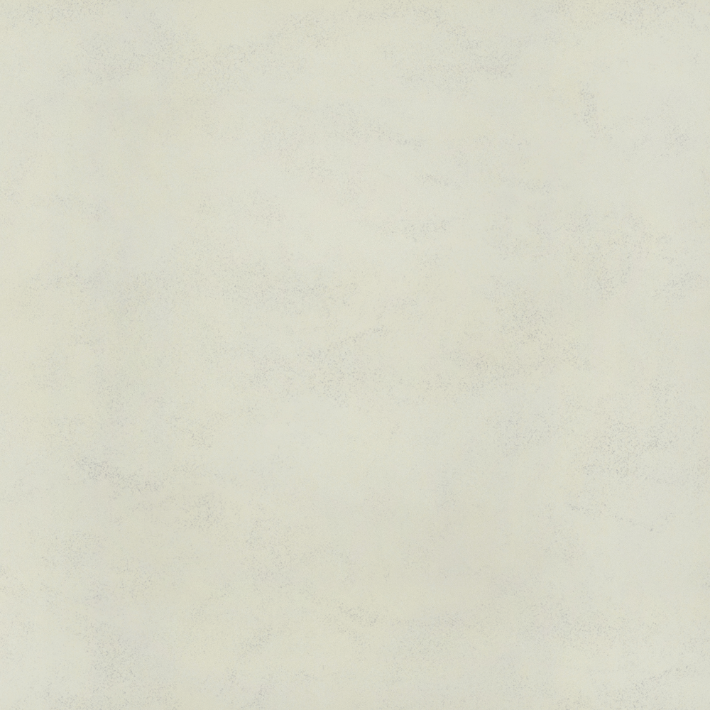 Wall paints/coatings