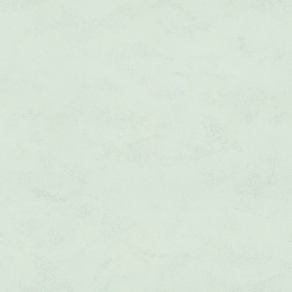 Wall paints/coatings