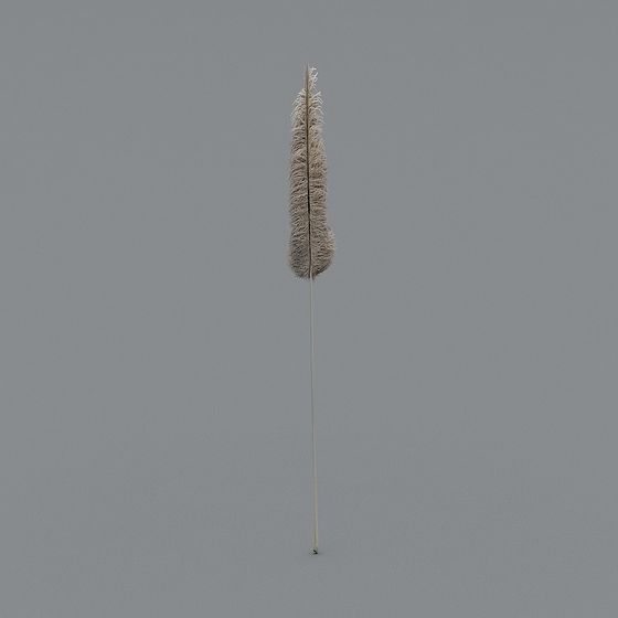 Realistic Reeds 3D Model for Nature-Inspired Design