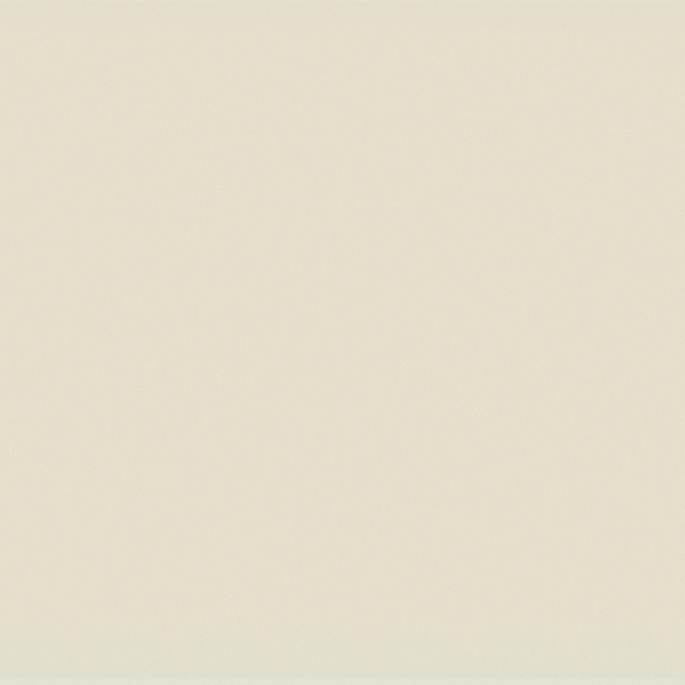 Wall paints/coatings