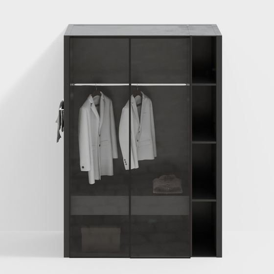 Stylish Minimalist Wardrobe 3D model