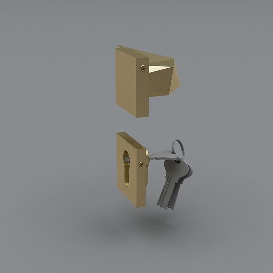 Gold metal door lock mechanism with silver key on grey background
