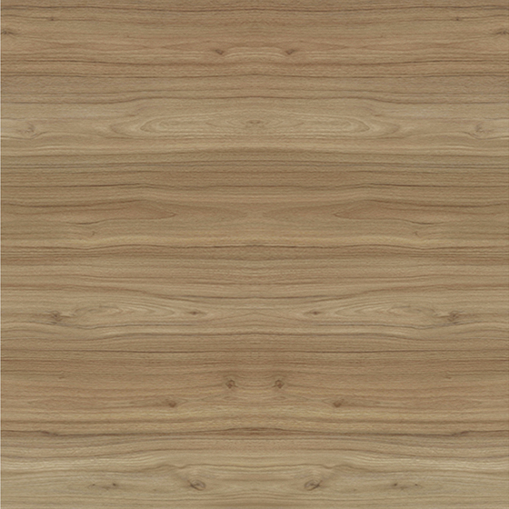 Light Walnut Door Panel 3D Model in Brown
