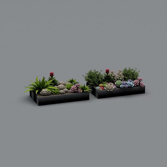 Desert Garden 3D model for Creative Projects