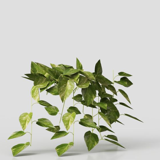 Vibrant Ivy 3D Model for Creative Projects