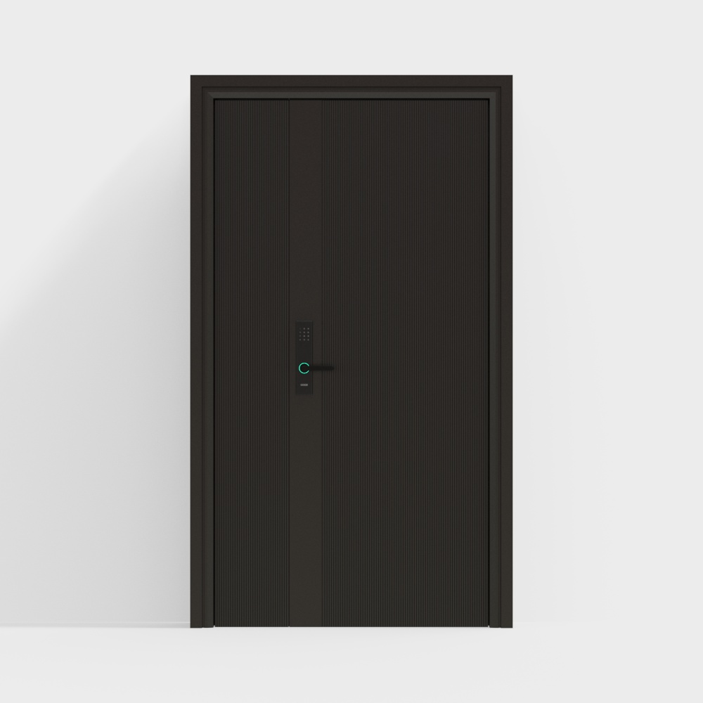 modern entry door