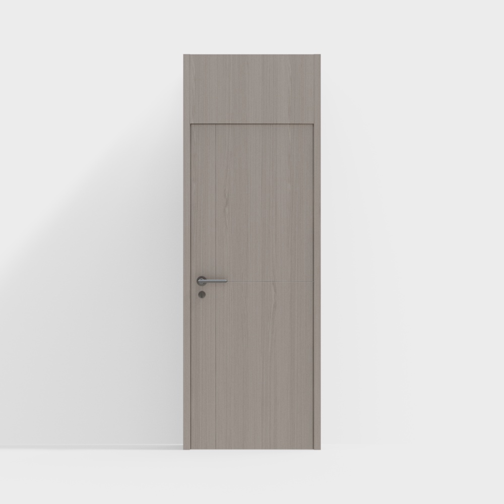 modern single door