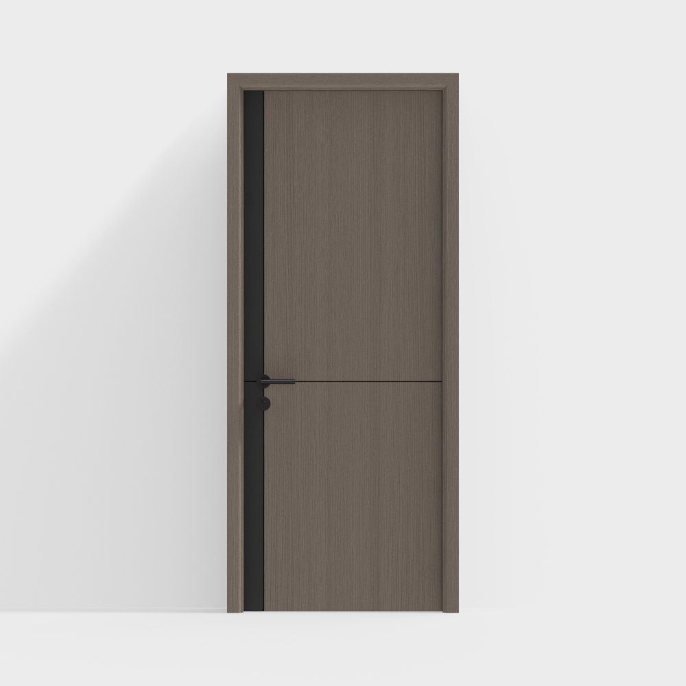 modern single door