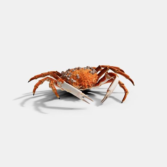 Low Poly Crab 3D Model with High Detail Textures