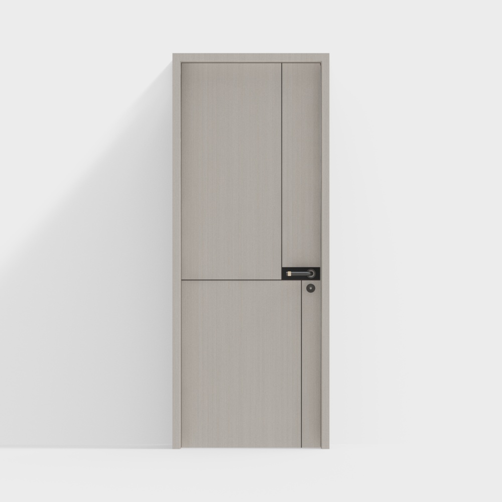 modern single door