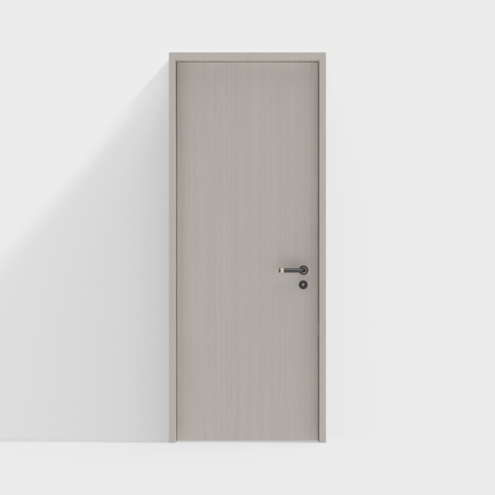 modern single door