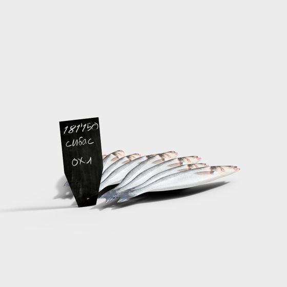 Realistic Sardine Fish 3D model