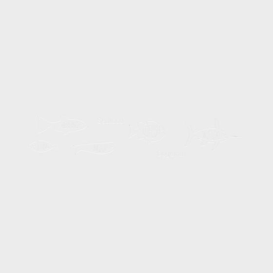 White fish outline icons with seafood text on light grey background