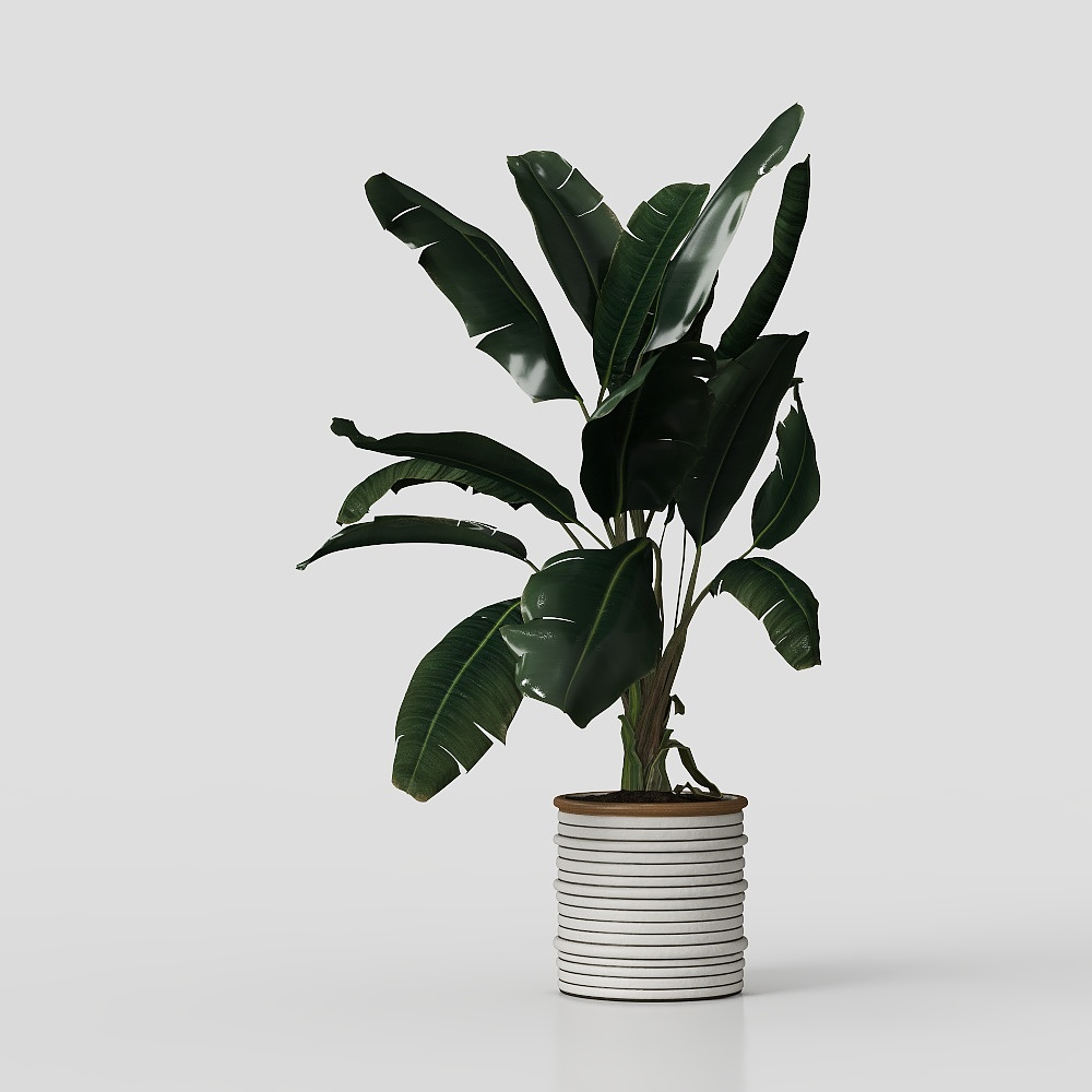 Trang trí cây phong cách Bắc Âu