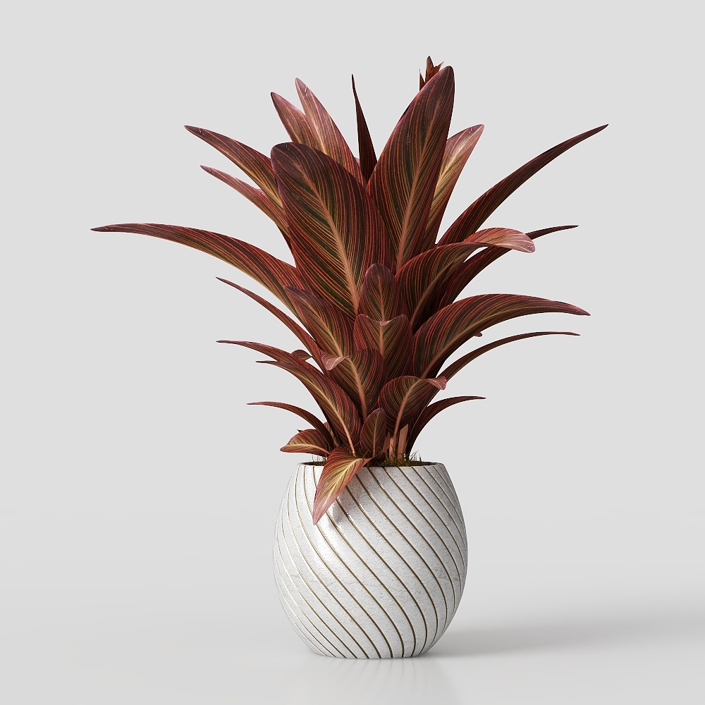 Trang trí cây Bắc Âu