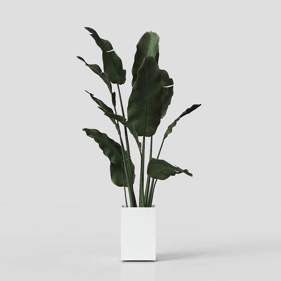 北欧の植物の装飾