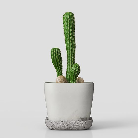 北欧植物の装飾